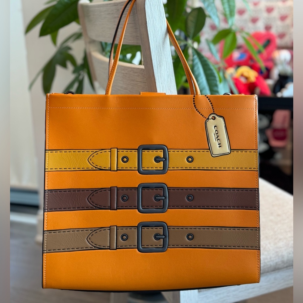 Coach Cashin Tote (C9724)
